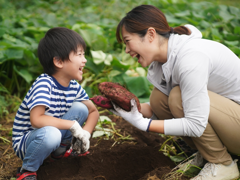 農作業経験の有無でこんなに違う!? 子供の脳波と描画からわかった