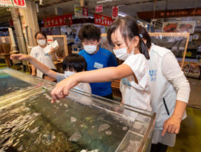 【水族館飼育員のお仕事体験】心構えから海洋環境まで、小学生が学んだ大切なこと