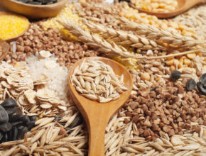 雑穀食が子どもの脳を活性化させる!? 食料危機で注目される栄養穀物のメリットとは