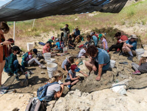 「本物の恐竜化石を発掘できる博物館」や「長期キャンプ」など、世界の最新教育事情7選