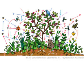 小さな生態系をつくって環境と多様性を学ぶ「シネコポータル・ワークショップ」とは？