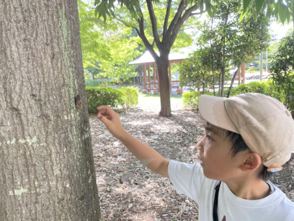 【2024年】自由研究におすすめ！ 小学生にぴったりな夏休みコンテスト＆コンクール7選