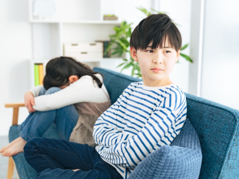 憎しみの残らないきょうだいゲンカの対処法: 子どもを育てる心理