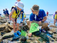 海の生き物探しも、車で過ごす楽しみ方も！ もっとアウトドアを楽しむコツをプロから学ぶ
