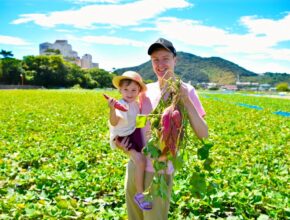 【2025年最新】全国のさつまいも掘りスポット6選! 子どもと農業体験を楽しもう